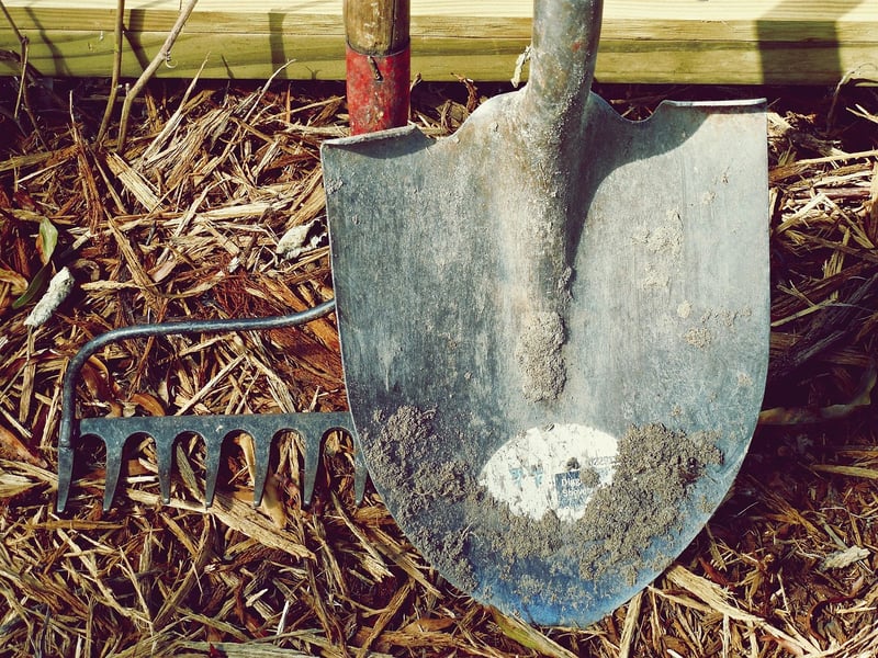Fall Gardening