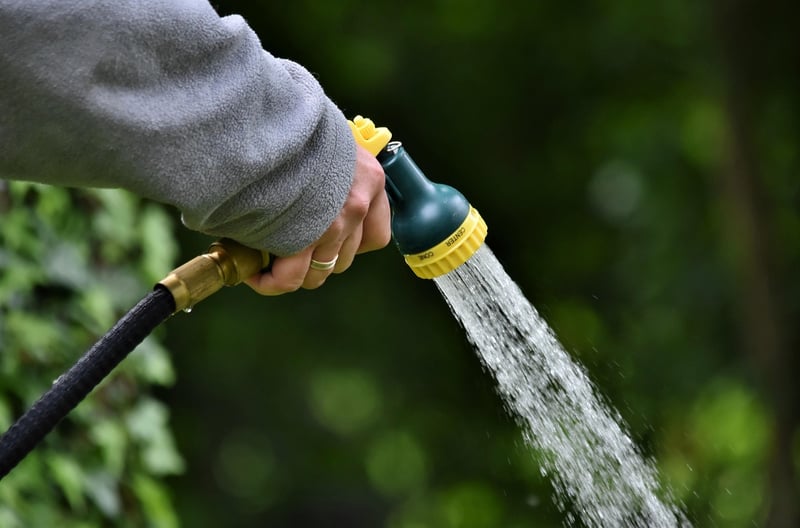 Summer Gardening